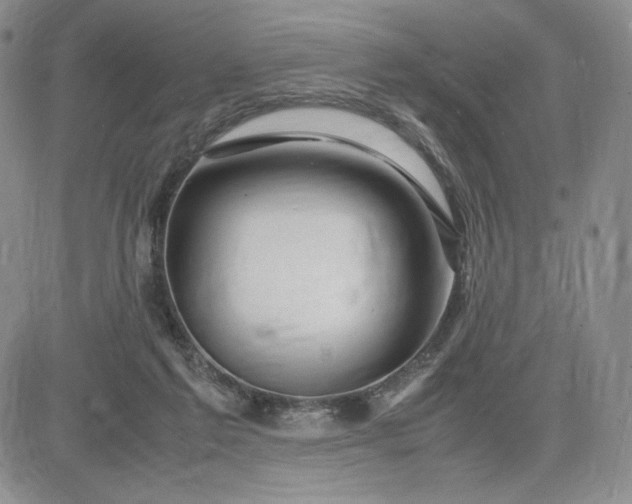 X0000083660213200702261150