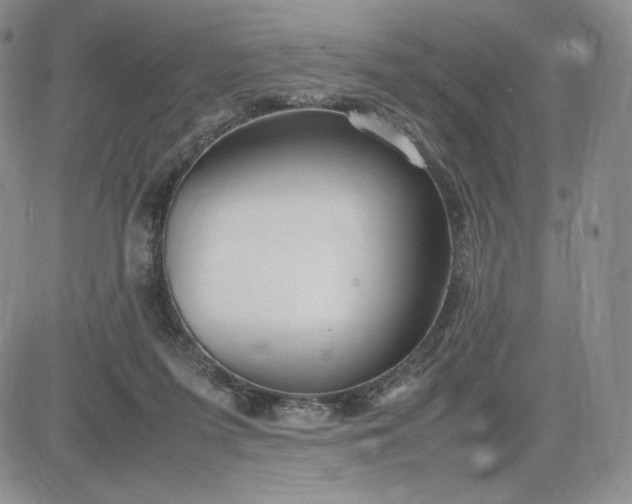 X0000083660215200702261150