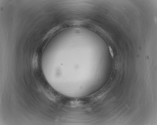 X0000083660216200702261150