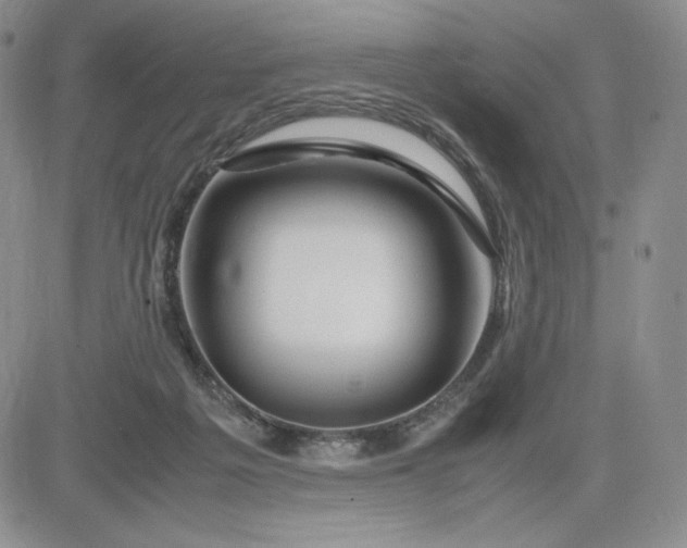 X0000083660217200702261150