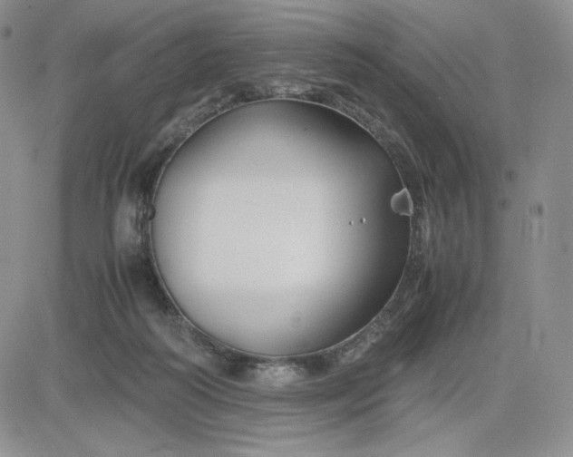 X0000083660218200702261150