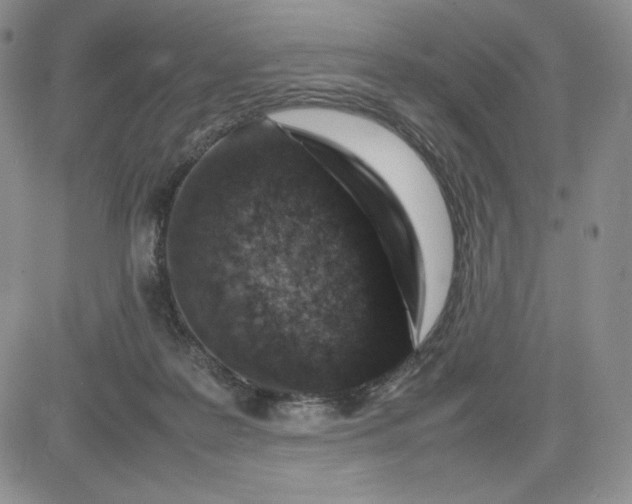 X0000083660219200702261150