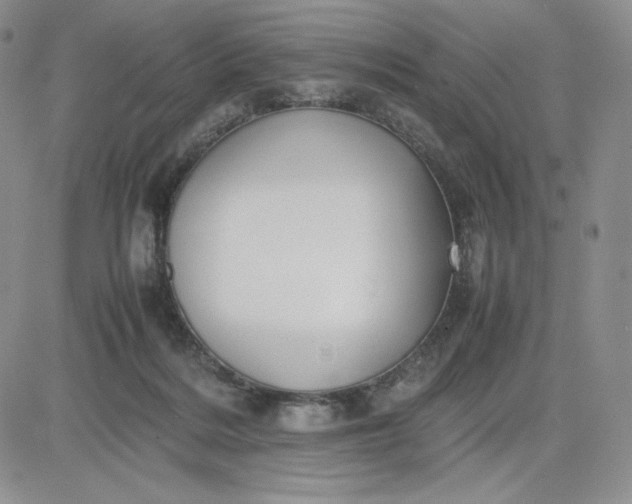 X0000083660220200702261150