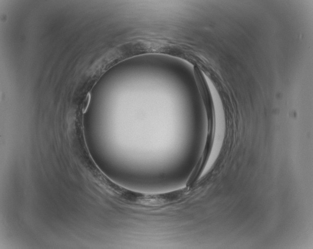 X0000083660221200702261150