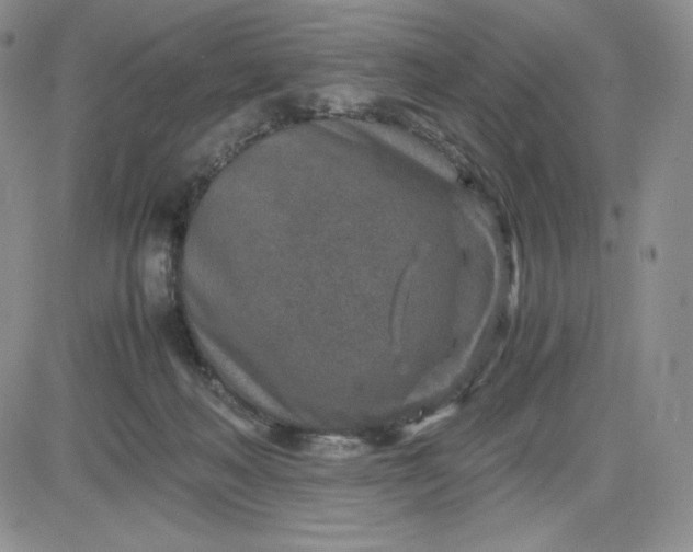 X0000083660222200702261150