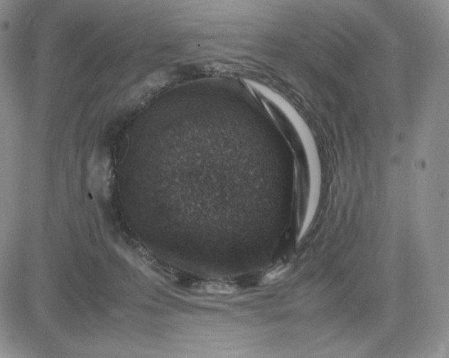 X0000083660223200702261150