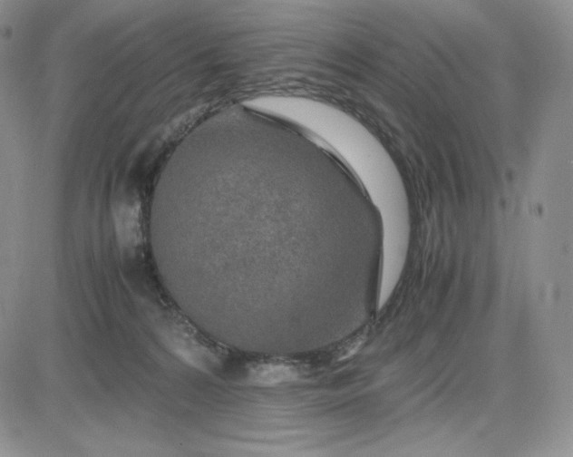 X0000083660224200702261150