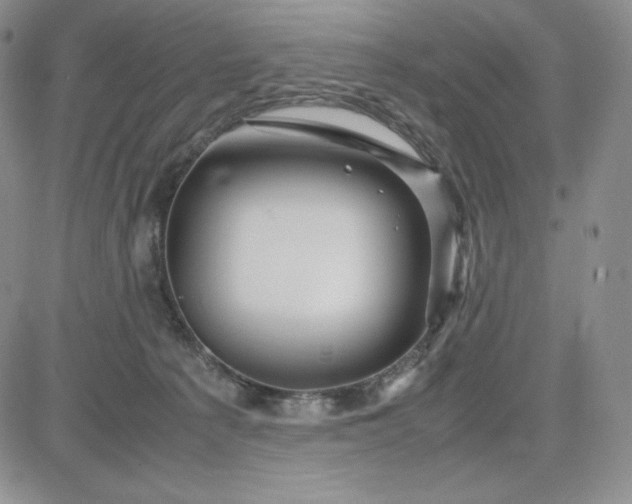 X0000083660225200702261150