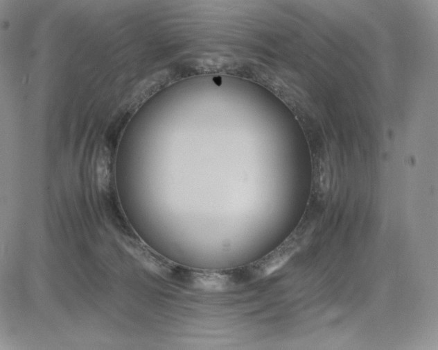 X0000083660226200702261150