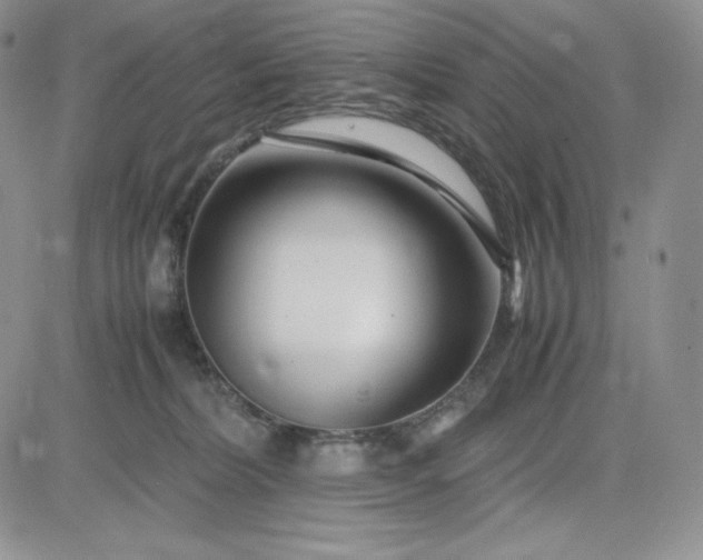 X0000083660228200702261150