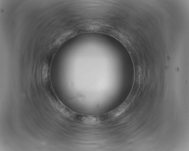 X0000083660230200702261150