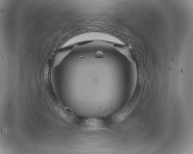 X0000083660231200702261150