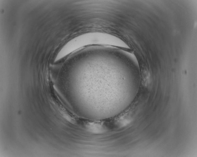 X0000083660232200702261150