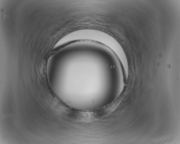 X0000083660233200702261150