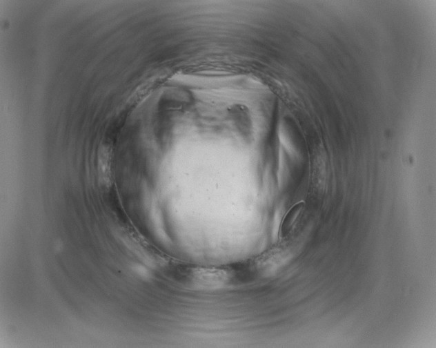 X0000083660234200702261149