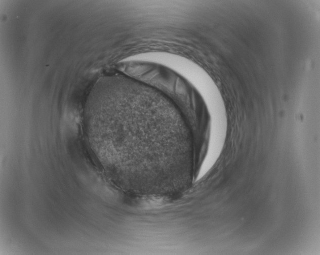 X0000083660235200702261149