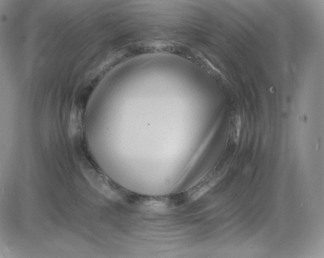 X0000083660236200702261149