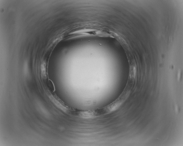 X0000083660238200702261149