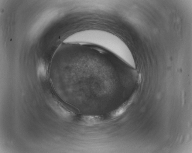 X0000083660239200702261149