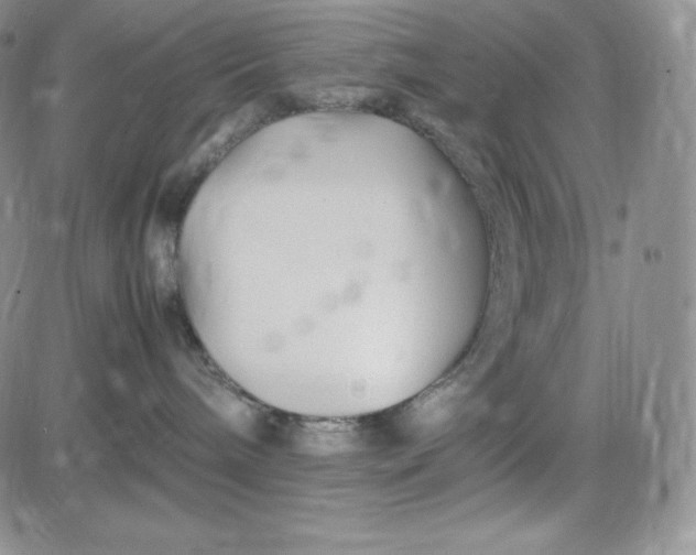 X0000083660240200702261149