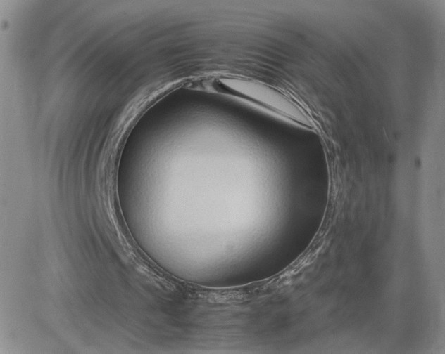 X0000083660241200702261149