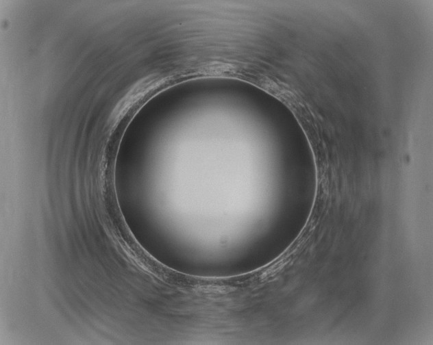 X0000083660242200702261149