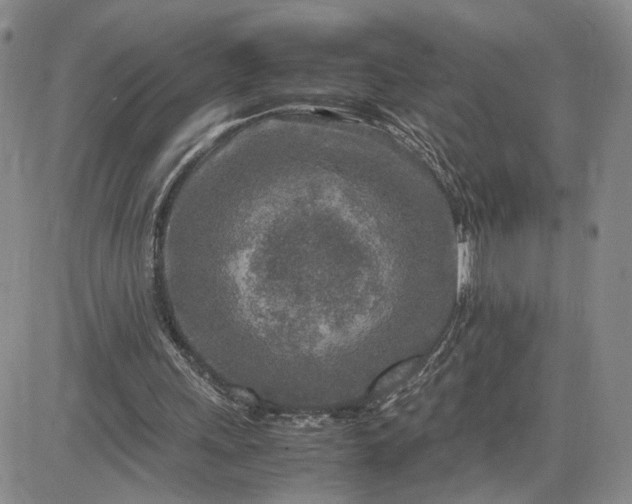 X0000083660243200702261149