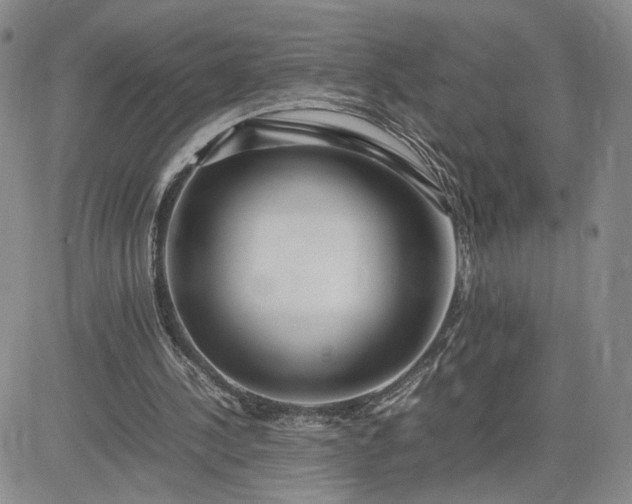 X0000083660244200702261149