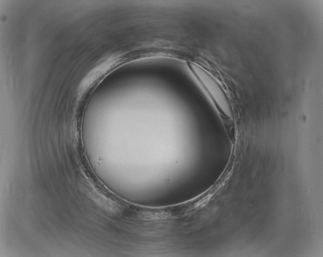 X0000083660245200702261149