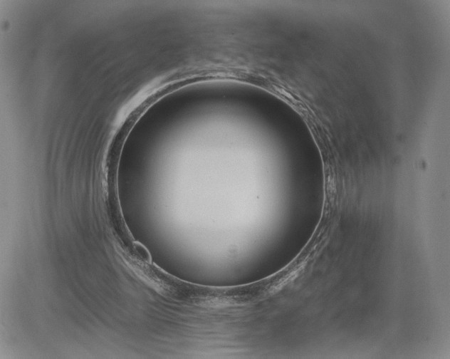 X0000083660246200702261149