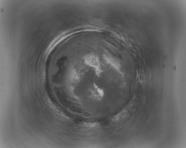 X0000083660247200702261149