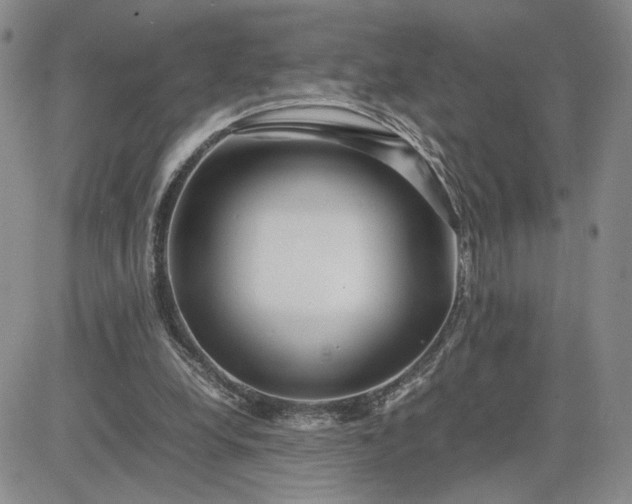 X0000083660248200702261149