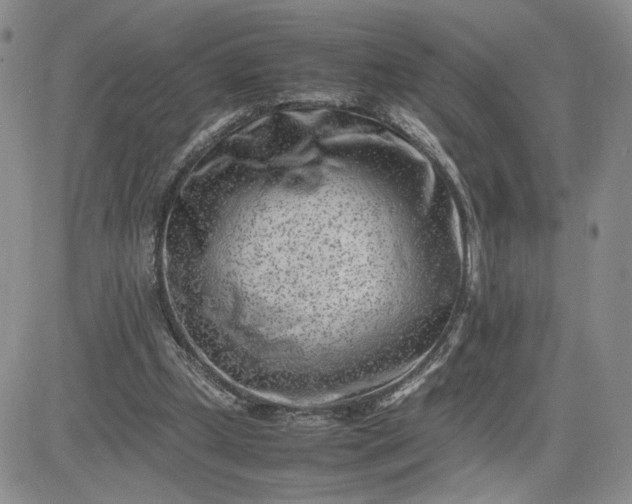 X0000083660249200702261149