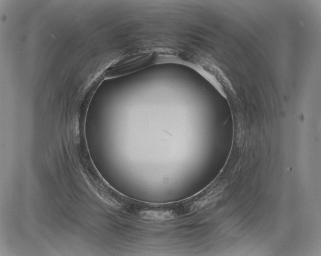 X0000083660251200702261149