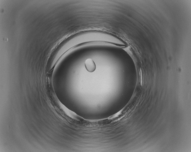 X0000083660252200702261149