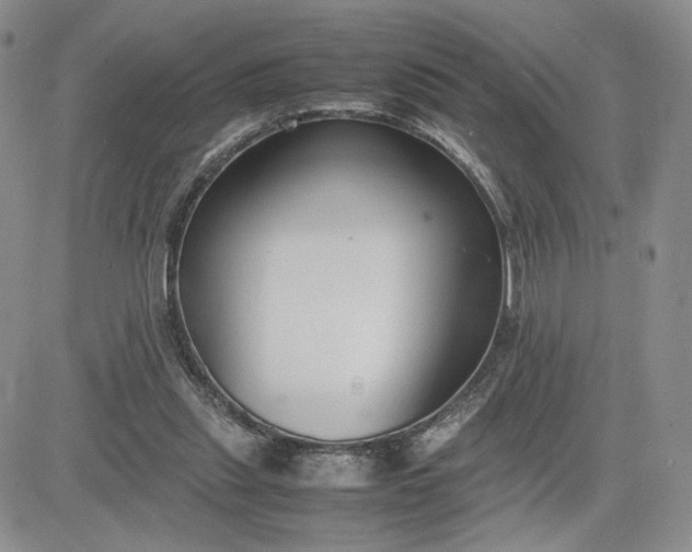 X0000083660253200702261149