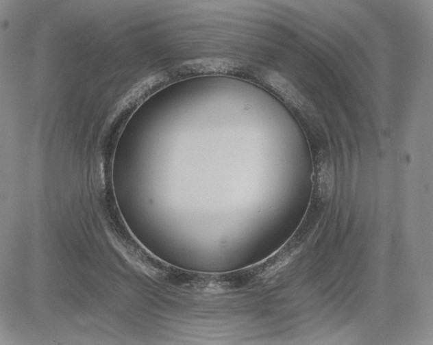 X0000083660254200702261149