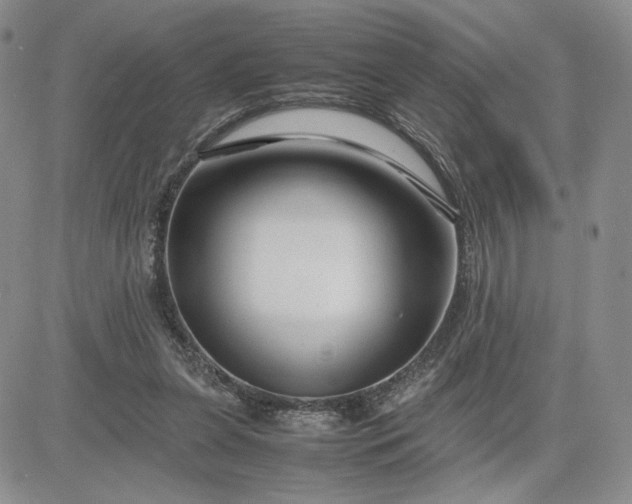 X0000083660255200702261149