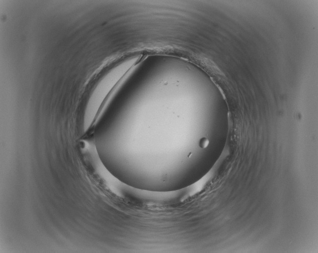 X0000083660256200702261149