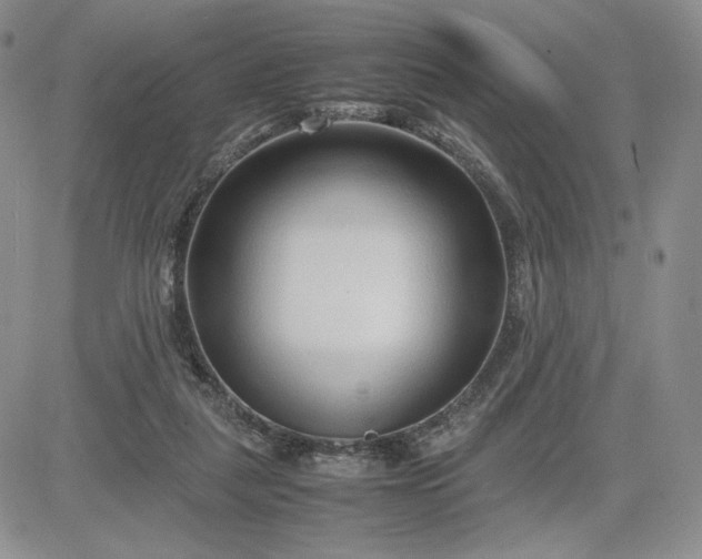 X0000083660259200702261149