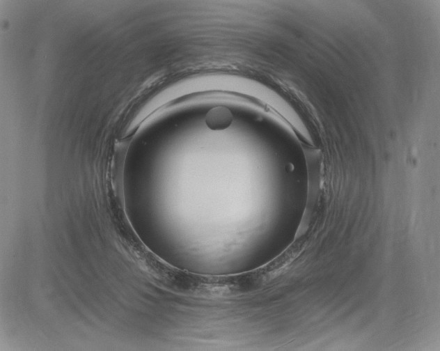 X0000083660260200702261149