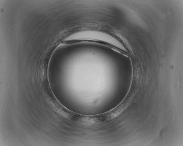 X0000083660261200702261149