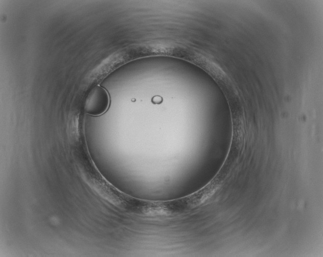 X0000083660262200702261149