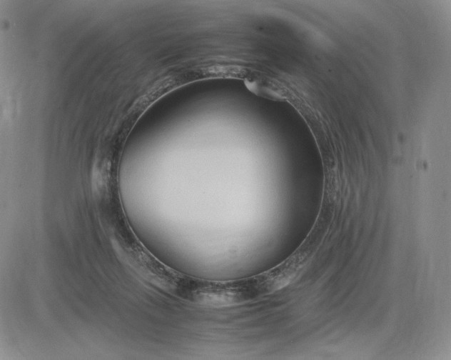 X0000083660263200702261149