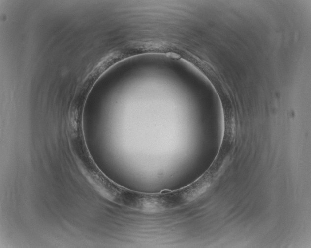 X0000083660264200702261149