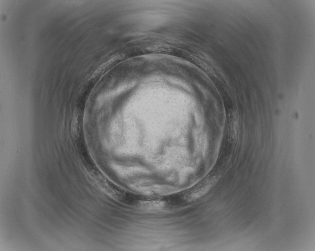 X0000083660266200702261149