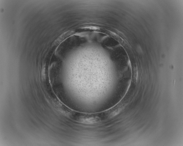 X0000083660267200702261149