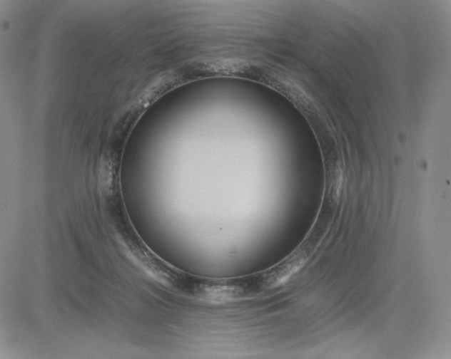 X0000083660268200702261149