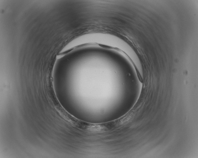 X0000083660269200702261149