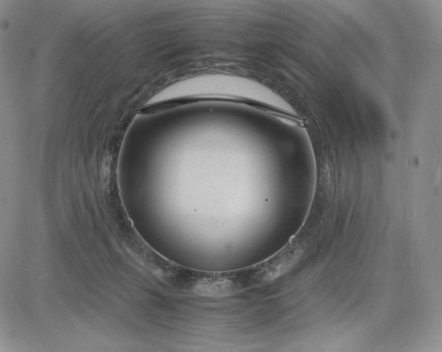 X0000083660271200702261149